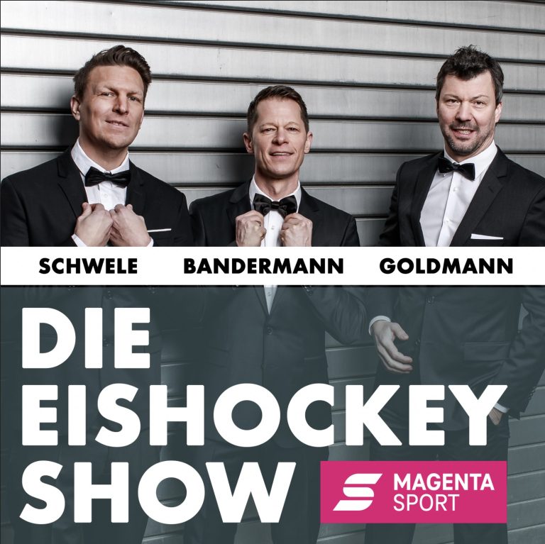 DieEishockeyShow-Beispiel